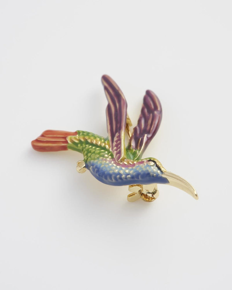 Broche Colibri