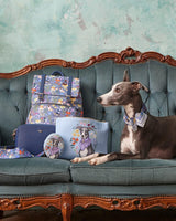Trousse en coton Lévrier Catherine Rowe Pet Portraits – Bleu